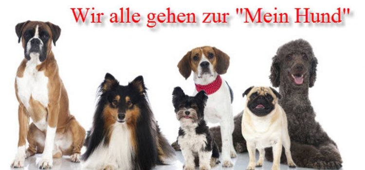 Hundemesse Mein Hund! Wir sind dabei!