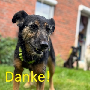 Herzlichen Dank für die Unterstützung Herzlichen Dank für die Unterstützung