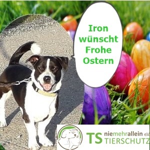 Frohe Ostern!