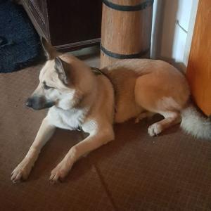 0058 Pihe (9)