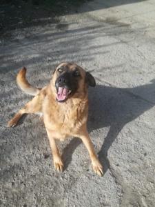 0108 Lizi 15