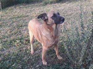 0108 Lizi 19