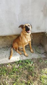 0108 Lizi 4