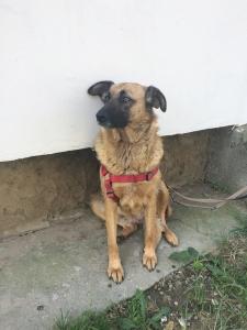 0108 Lizi 6