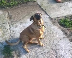 0108 Lizi 9