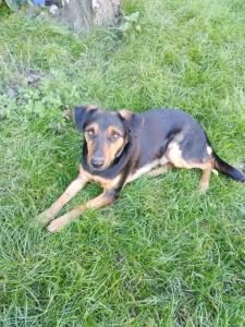 0109 Stan (15) (1)