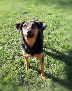 0109 Stan (22)