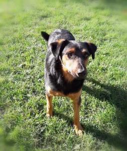 0109 Stan (25)