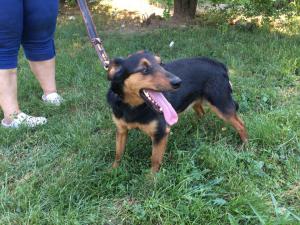 0109 Stan (29)