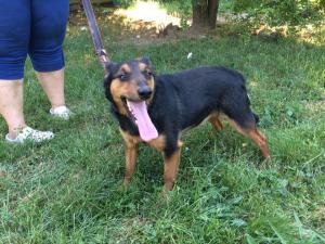 0109 Stan (30)
