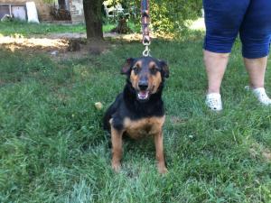 0109 Stan (31)