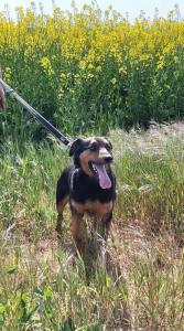 0109 Stan (32)