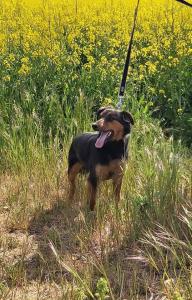 0109 Stan (34)