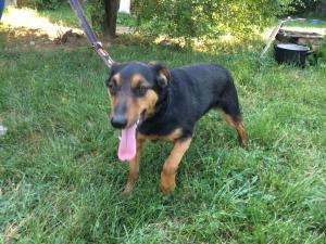 0109 Stan (39)