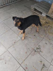 0109 Stan (41)