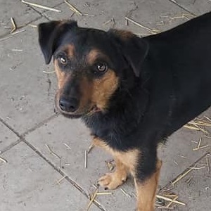 0109 Stan (41)A