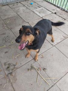 0109 Stan (42)