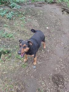 0109 Stan (43)
