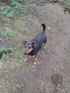 0109 Stan (44)