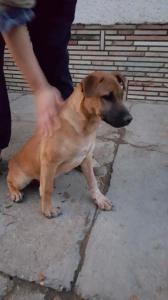 0119 Hunter (2)