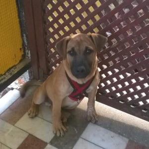 0119 Hunter (4)