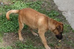 0119 Hunter (5)