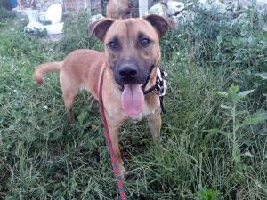 0119 Hunter A(15)