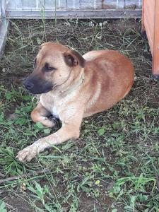 0119 Hunter A(18)