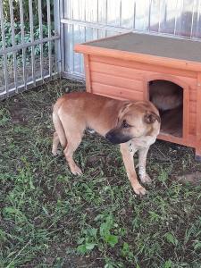 0119 Hunter A(19)