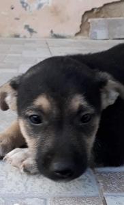 0208 Igor (1)