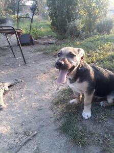 0208 Igor (11)