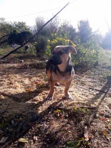0208 Igor (14)