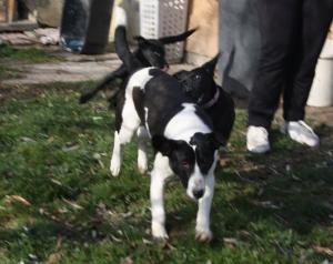 0223 Jackie 1 (10)