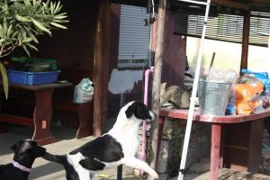 0223 Jackie 1 (11)