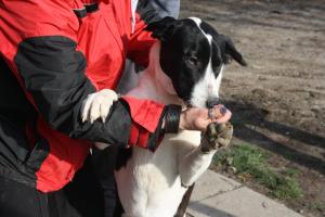 0223 Jackie 1 (8)