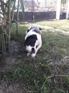 Jackie Juli 21 (14)