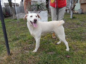 0257 Diego 26