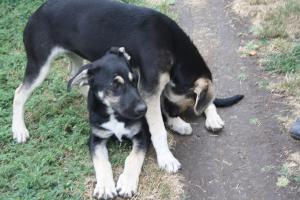 0435 Lexi 12