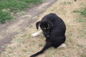 0435 Lexi 18