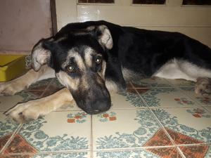 0435 Lexi 35