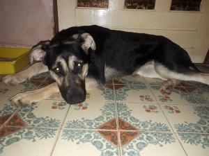 0435 Lexi 36