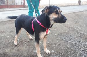 0435 Lexi 37