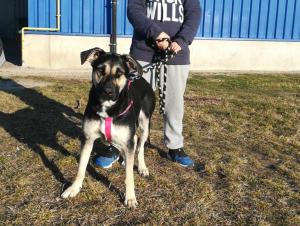 0435 Lexi 41
