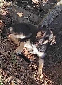 0435 Lexi 47