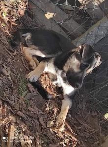0435 Lexi 48