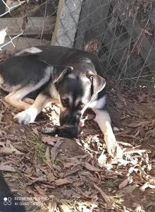 0435 Lexi 49