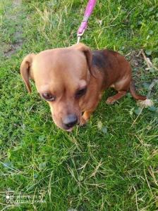 0452 Maja 2