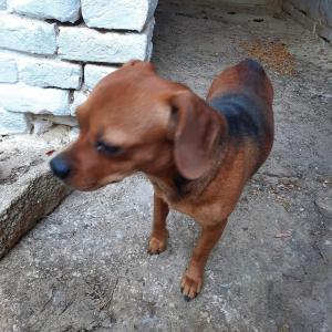0452 Maja 7