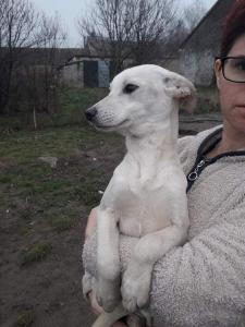 0463 Zizi 13