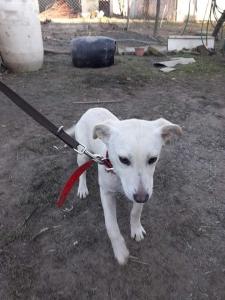 0463 Zizi 21